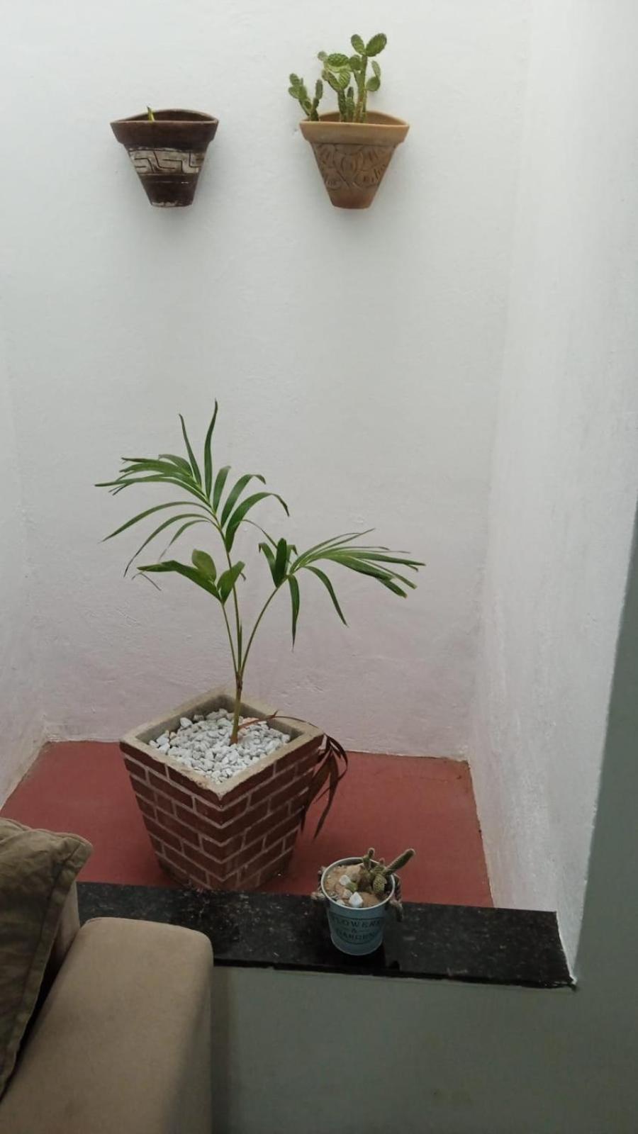 Casa Md Villa Camocim Kültér fotó